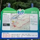제207회차 송년 산행 밎 회장 이취임식 이미지