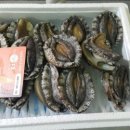 전복총각 이미지