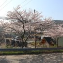 김종선농장 이미지