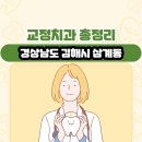 경상남도 김해시 삼계동 교정치과 총정리