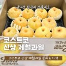 코스트코 신상 제철 과일 단감 홍시 사과대추 제주황금향 황금배 골드망고 추석명절 선물세트 종류 가격