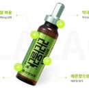 라라올라 네이버블로그