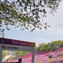 시흥시민햇빛4호발전소 | 군포 산본동 수리산 철쭉축제