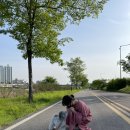 오늘은고기파티