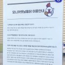 도민야채 이미지