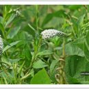 산자락에 이미지