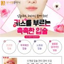 보니엘건강