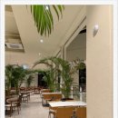 미카사 | 남양주 카페에서 미카사 생일 기념으로 뭉쳤던 후탄 후기.