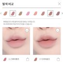 븉희 | [하트퍼센트] 도트 온 무드 립펜슬_ 갈뮽 입작녀의 오버립 도전+매트 틴트 립 추천