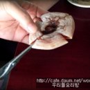 모양내기 이미지