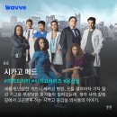 토리메드 이미지