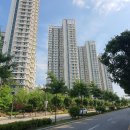 보람동 호려울마을 8단지 이미지