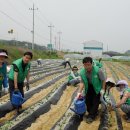 자산동124 이미지