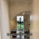 카멜스테이 이미지