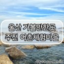 주전어촌체험마을 | [울산 / 동구] 울산 가볼 만한 곳 / 주전 어촌체험마을 / 250622