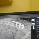 도그앤피플 동물병원 이미지