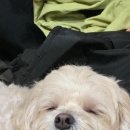 누엘 이미지