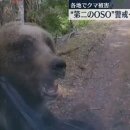 금이목장 이미지