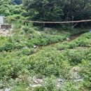 흥기2리경로당 이미지