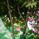 호매실천 이미지