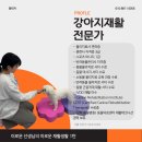 도그레잇 이미지