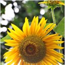 너른공원 이미지