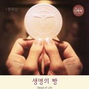 의향 행정사 사무소 이미지