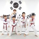 사람이아름다운태권도 이미지