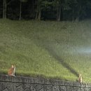 세희주단 네이버블로그