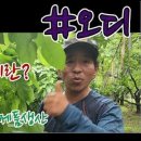 흥농상회 이미지