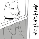 아리엘언니 이미지