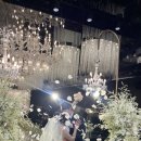 더블유스퀘어 | 결혼식 준비 총정리｜더블유스퀘어 웨딩홀 신부 리얼 후기 💍