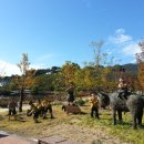 주촌초등학교 이미지