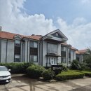 제주팜파스펜션 | 제주 동쪽 조천 교래 초가성비 넓은 가족 펜션 팜파스 펜션 자세후기