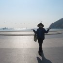 암남공원로 이미지