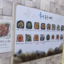 굴이좋은세상 이미지