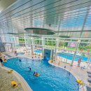 휘닉스 실내수영장 이미지