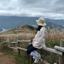 강원도 정선 민둥산 억새축제 등산코스 후기 (+최단코스, 거북이쉼터 정보)