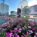 [2023KAGOSHIMA]후쿠오카 근교 가고시마여행 준비(가고시마호텔추천,FavHotel,파브호텔,가고시마맛집...