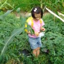 예진농장 이미지