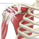 세종마취통증의학과의원 이미지