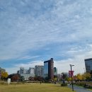 송현자유시장 | 🚎서울여행 가볼만한곳 초행길 코스