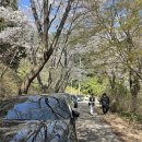 월곡 하늘공원 이미지