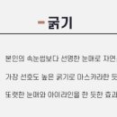래쉬홀릭