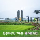 (2026.07.18) 강릉바우길 7구간 이미지