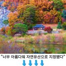 단풍 절정 앞두고 가볼 만한 곳, 이색 풍경 담은 가을 여행지 이미지