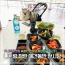 Lucky 애견샵 | 나트랑 한국식당 하랑 | 애견동반 가능한 한식당 찾는다면