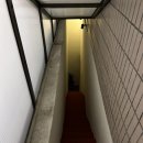 심재복싱 이미지