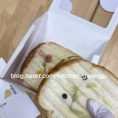 금호초교병설유치원 이미지