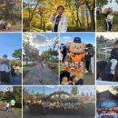 한국체대 효자효녀 태권도 이미지